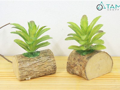 Chậu sen đá giả để bàn chậu gốc cây số 91